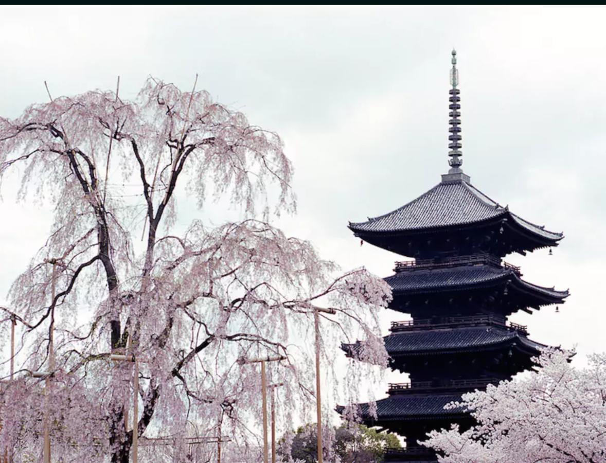 Bahay bakasyunan Hanabi Nijo-jo Castle